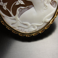 Vintage Shell cameo hand carved by an artist with gold frame (C1)